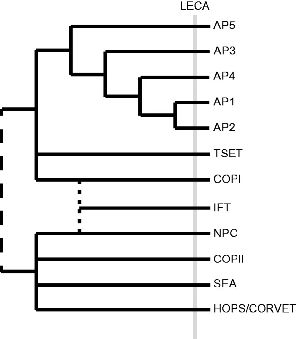 Fig. 5.—