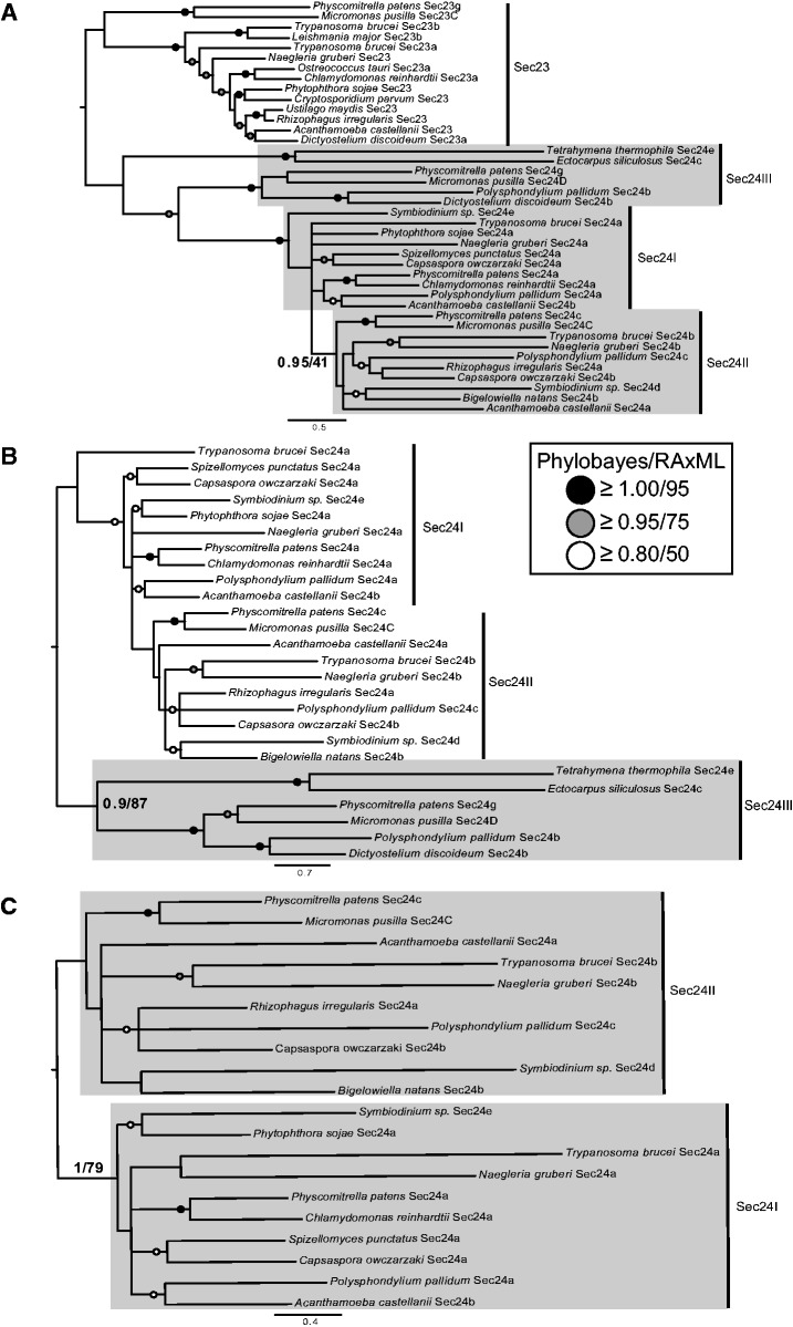 Fig. 3.—