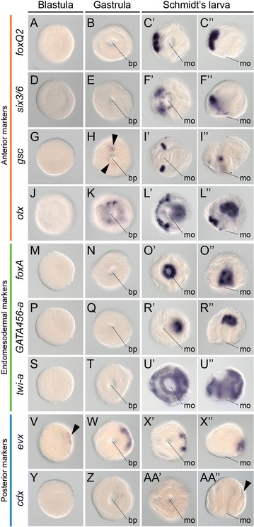 Fig. 7