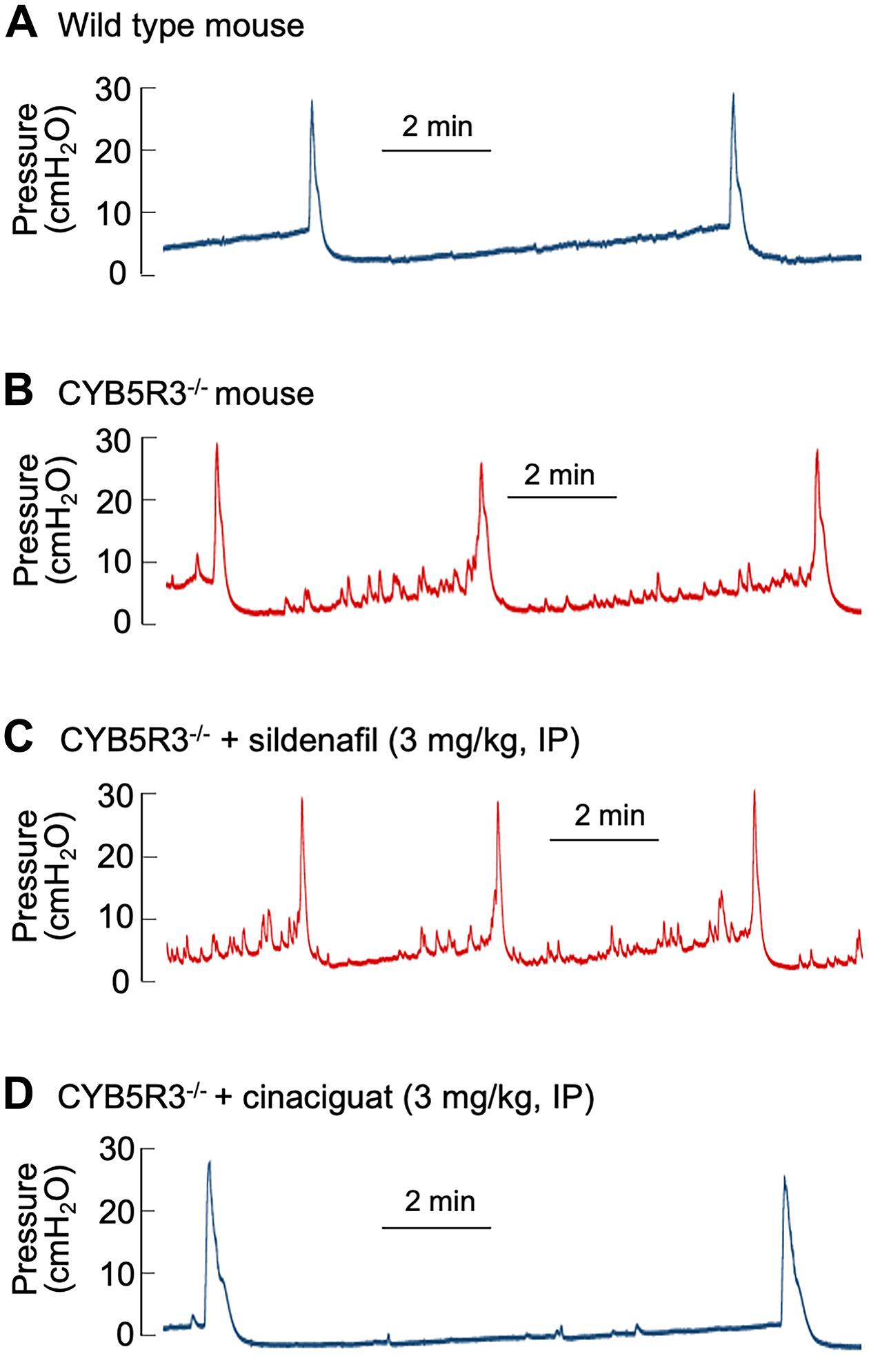 Figure 6.