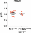 Figure 5—figure supplement 1.