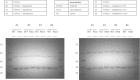 Figure 2—figure supplement 1.