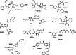 Fig. 12.