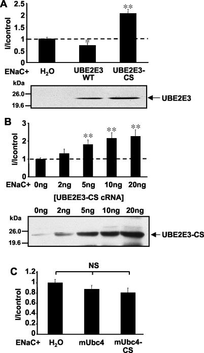 FIG. 5.