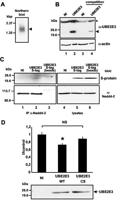 FIG. 8.