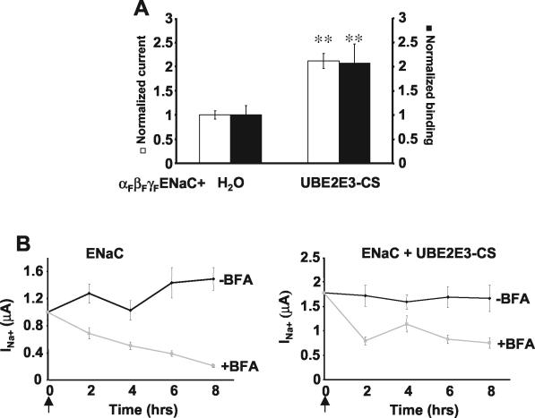 FIG. 7.