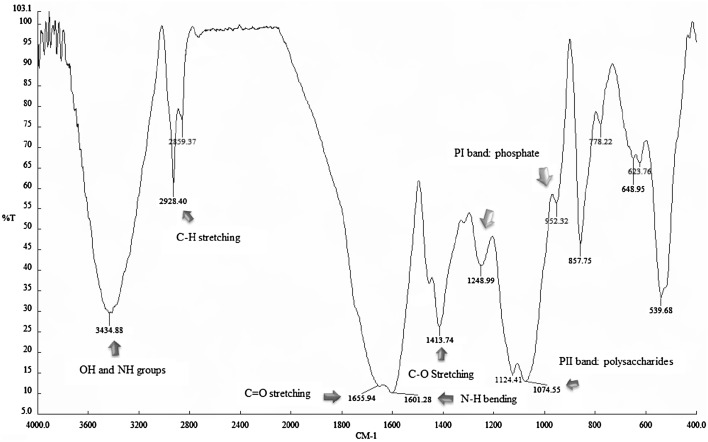 Fig. 4