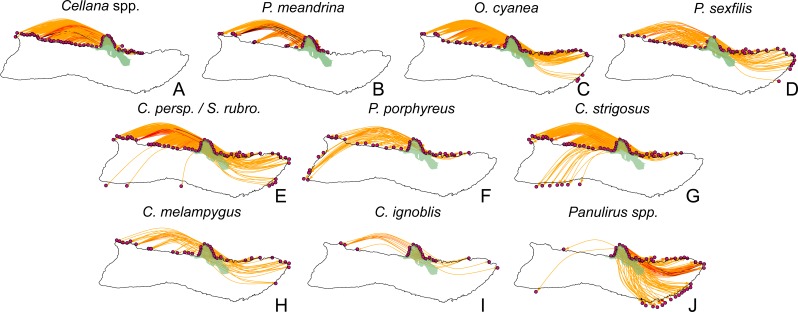 Figure 10