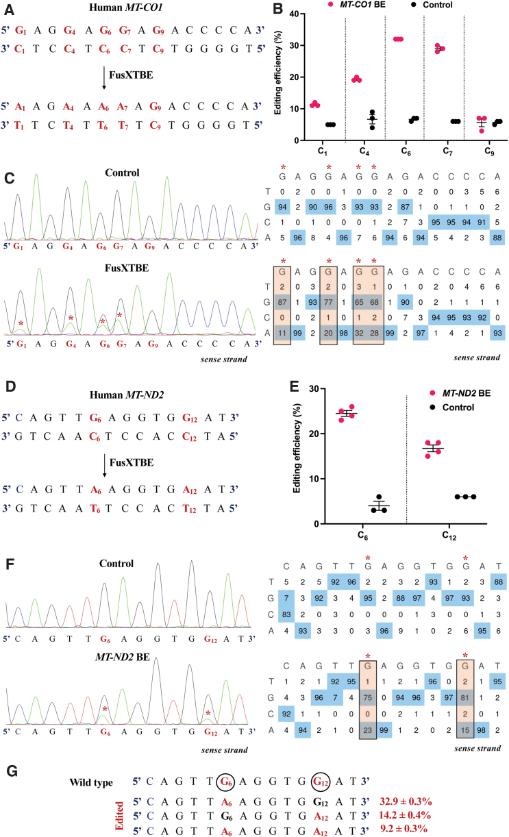 FIG. 4.