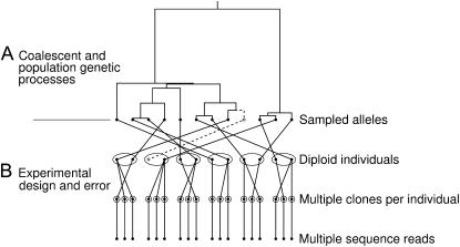 Figure 1.—