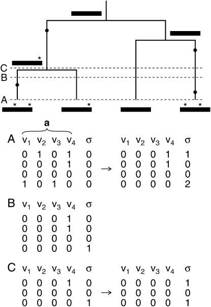 Figure 2.—