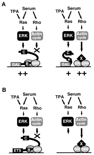 FIG. 7.