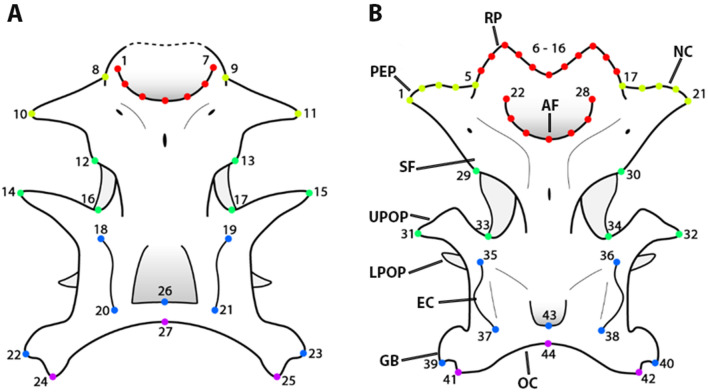 Figure 7