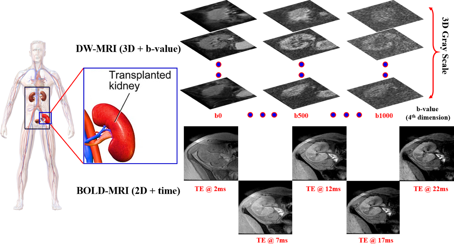 FIG. 2: