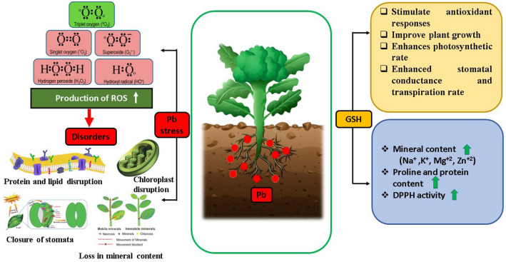 Fig. 7