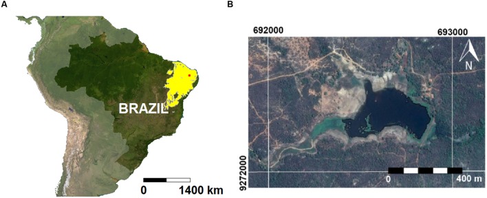 FIGURE 1