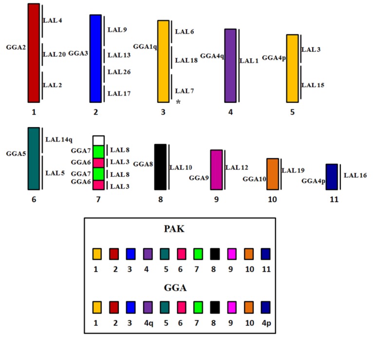 Figure 7