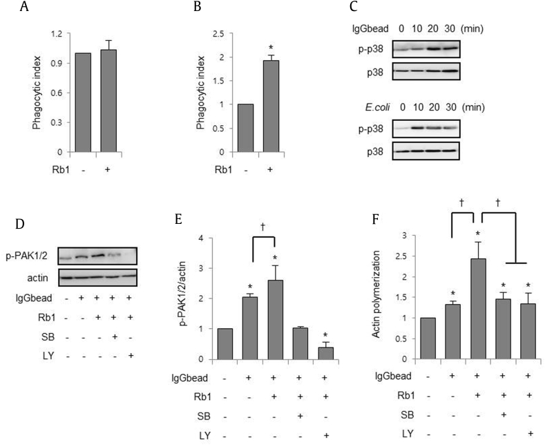 Fig. 4