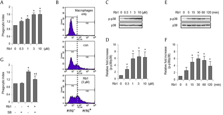 Fig. 1