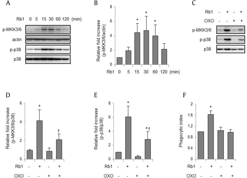 Fig. 2