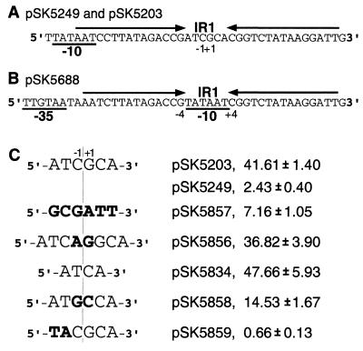 FIG. 6