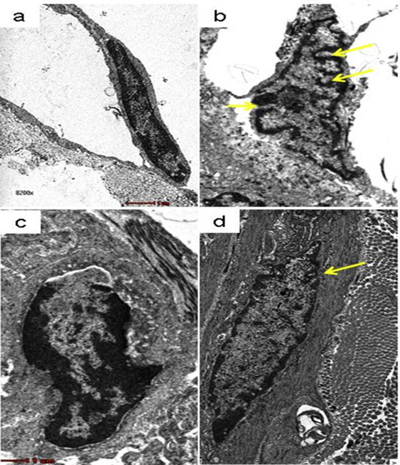 Fig. 9