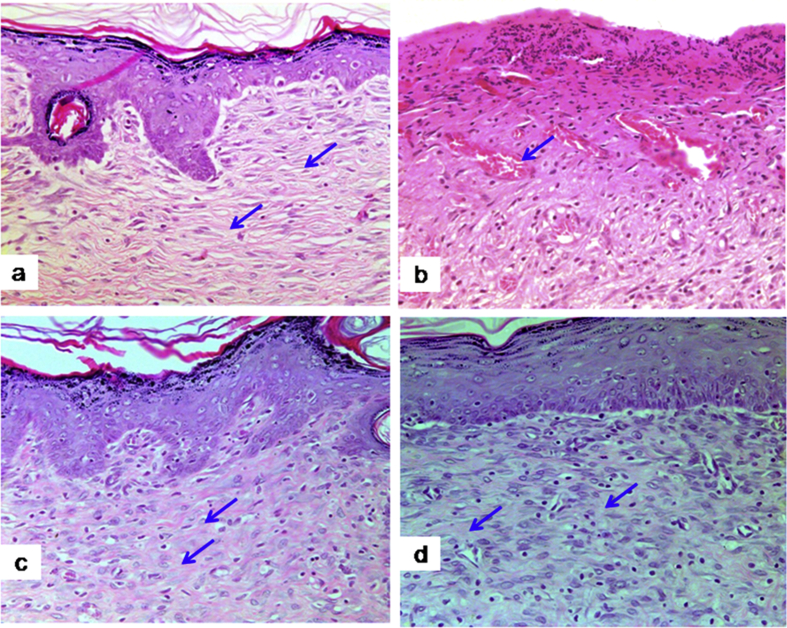 Fig. 3