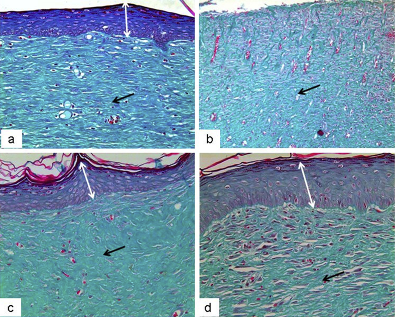 Fig. 7