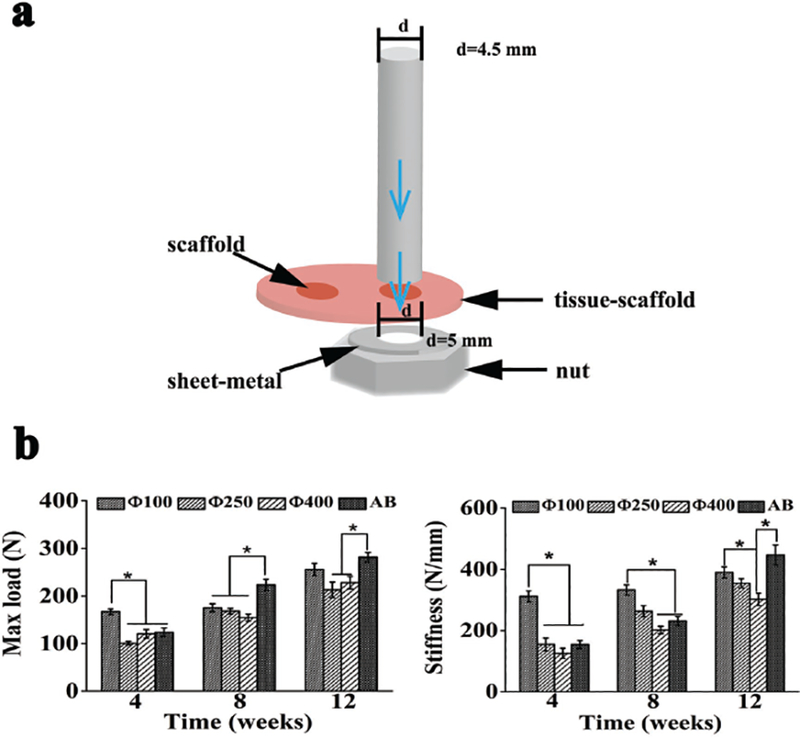 Figure 6.