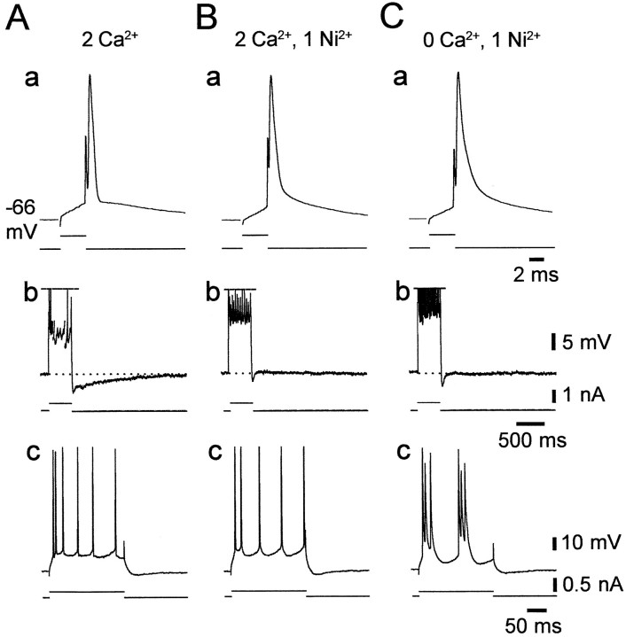 Fig. 7.