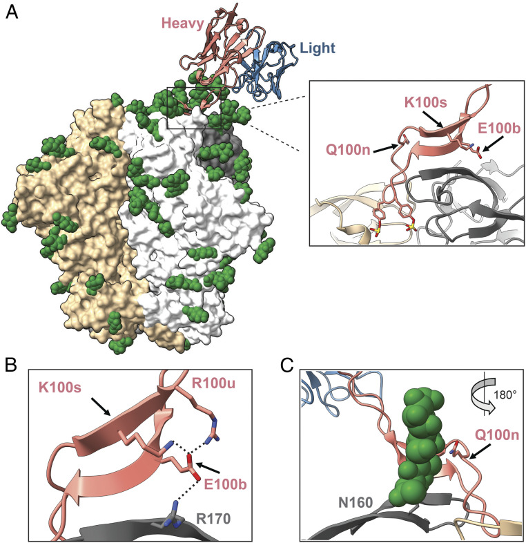 Fig. 7.