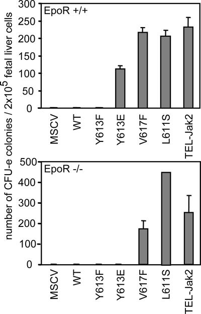 FIG. 6.