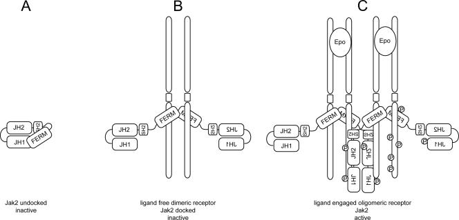 FIG. 7.