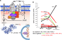 <b>FIG. 3.</b>