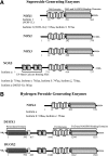 <b>FIG. 1.</b>