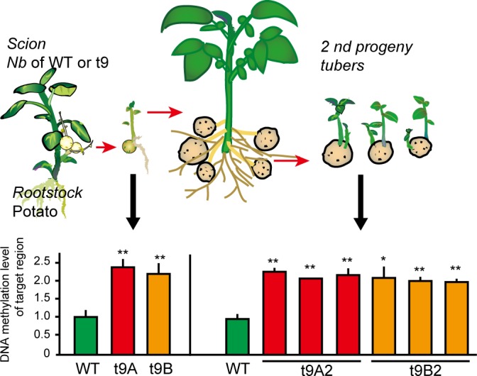 Fig 3