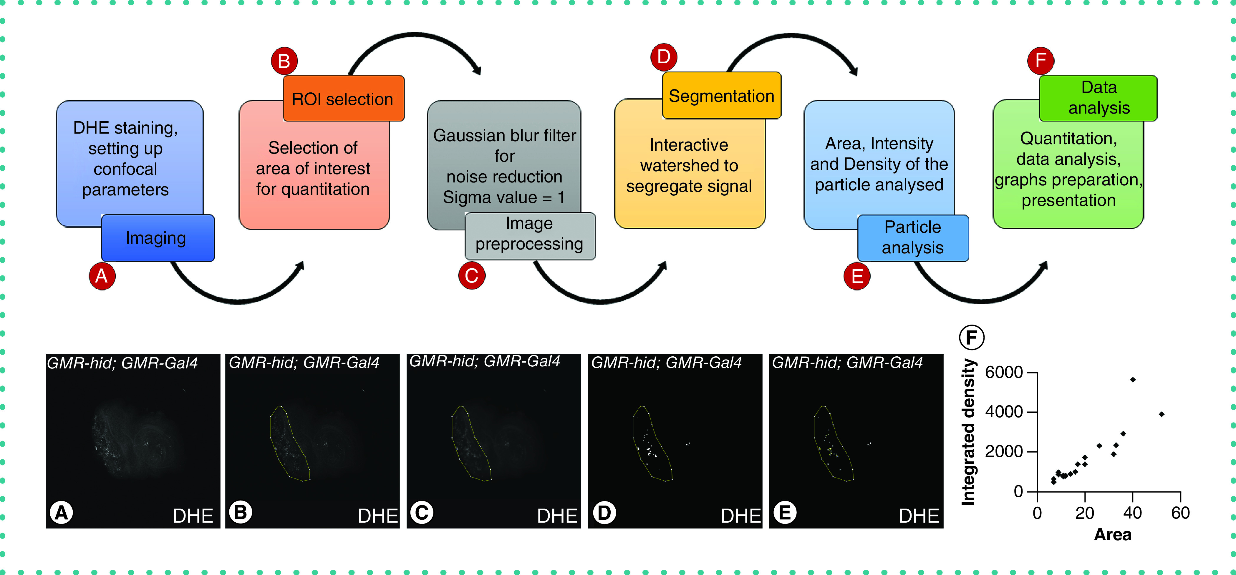 Figure 2. 