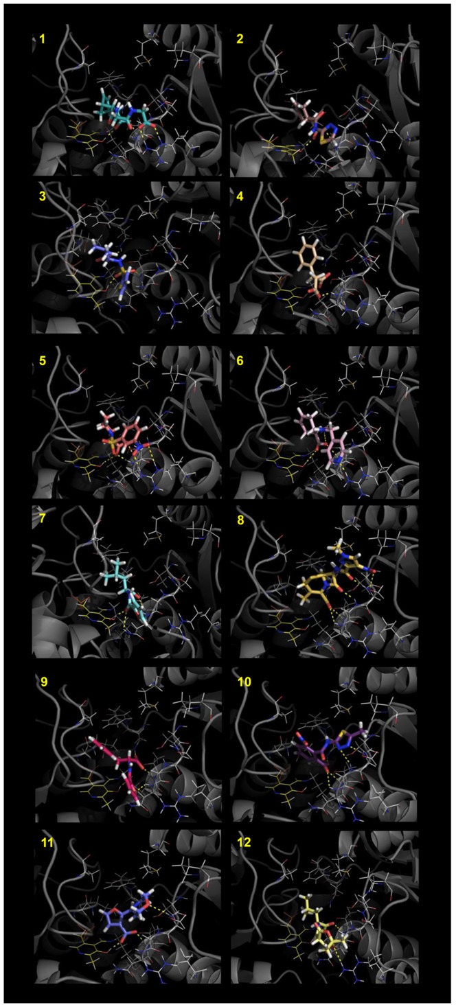 Figure 5