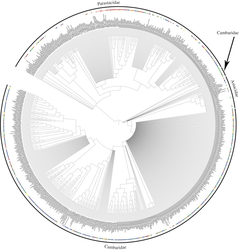 Figure 1.