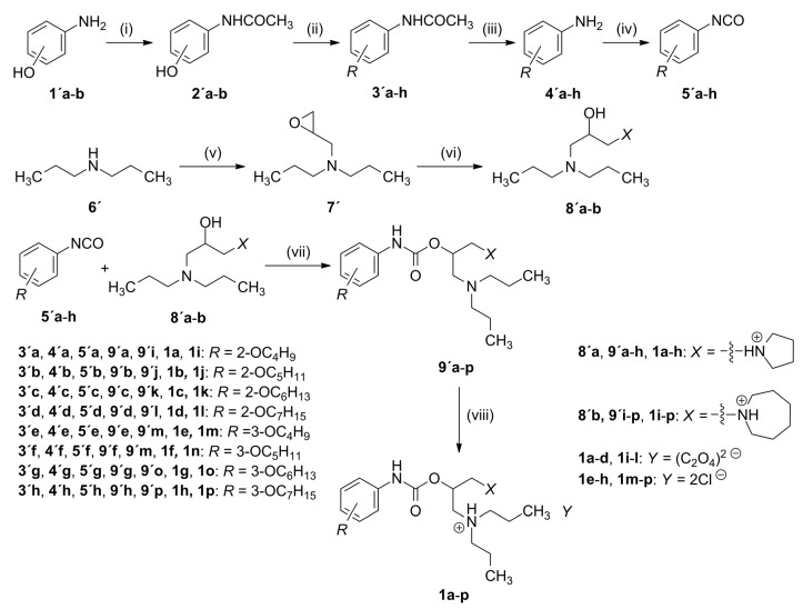 Scheme 1