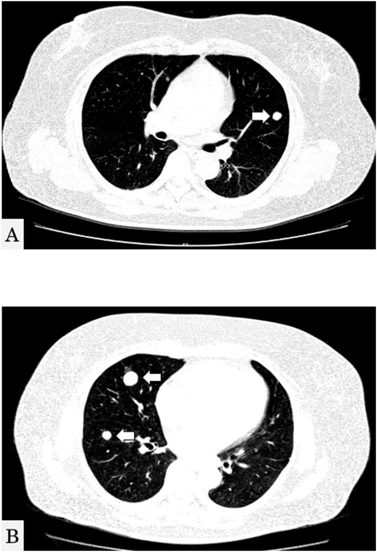 Fig. 5