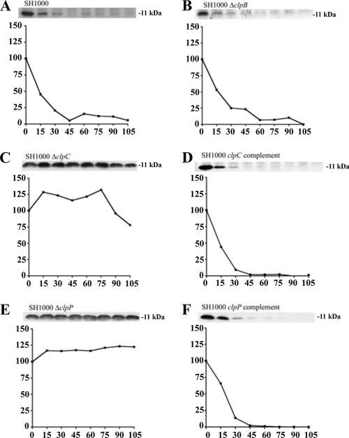 FIG. 6.