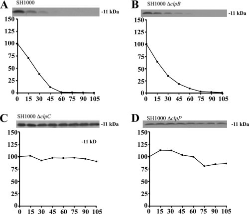 FIG. 7.