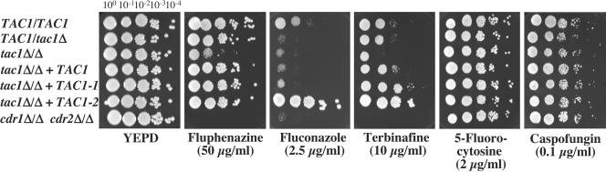 FIG. 3.