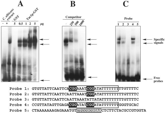 FIG. 4.