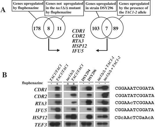 FIG. 8.