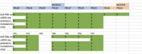 Figure 1—figure supplement 1.