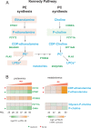 Figure 3—figure supplement 5.