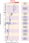 Figure 7—figure supplement 2.