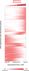 Figure 7—figure supplement 1.
